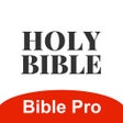 プログラムのアイコン：BiblePro