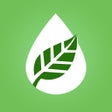 Programın simgesi: Young Living Essential Oi…
