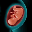Icono de programa: Astha Pregnancy
