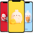 プログラムのアイコン：Cute Bunny Wallpapers