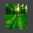 Biểu tượng của chương trình: Image viewer