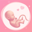 プログラムのアイコン：Pregnancy Tracker  Baby G…