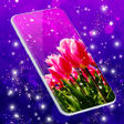 程序图标：Live Wallpapers with soun…