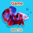 プログラムのアイコン：Betta Fish Seller