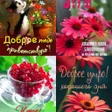 Icon of program: Lots of postcards