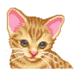プログラムのアイコン：Ocicat Virtual Pet