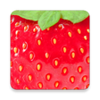 Sezon na zdrowie icon