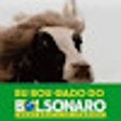 ไอคอนของโปรแกรม: Alice no país dos Bolsomi…
