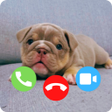 Icon of program: Dog Prank Calling - Wallp…