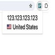 Programikonen: My Public IP