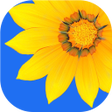 أيقونة البرنامج: Gallery