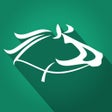 プログラムのアイコン：Horse Racing Pro