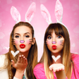 程序图标：Cute Rabbit Face