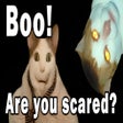 Icoon van programma: BOO! ARE YOU SCARED?