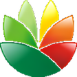 Icon of program: EximiousSoft Logo Designe…