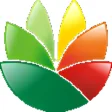 EximiousSoft Logo Designer