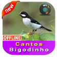 Icon of program: Cantos Bigodinho