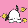 Programikonen: Pochacco Wallpapers New T…