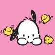 Ikon program: Pochacco Wallpapers New T…