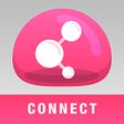 Иконка программы: Check Point Capsule Conne…