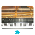 プログラムのアイコン：Electric Grand Piano *Plu…