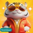 Icoon van programma: MelodyWallpaper