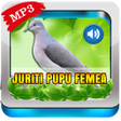 Symbol des Programms: Canto de Juriti Pupu Fême…