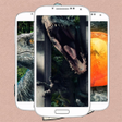 Jurassic Wallpaper HD Dinosaur icon