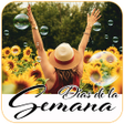 プログラムのアイコン：Frases Días de la Semana