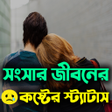 程序图标：সসর জবনর কষটর সটযটস