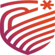 程序图标：MSRIT Connect