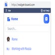 Ikon program: Widget Board