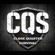 Icon of program: CQS Performance