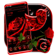 Ícone do programa: Red Rose Theme