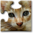Biểu tượng của chương trình: Cats Jigsaw Puzzles