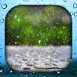 Rain Wallpaper Live HD3D4K