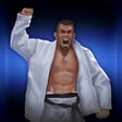 Ikon program: BeJJ: Jiu-Jitsu Game