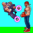 أيقونة البرنامج: Fighter Evolution