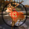 wild deer hunter- hunting game