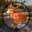 プログラムのアイコン：wild deer hunter- hunting…