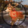 wild deer hunter- hunting game