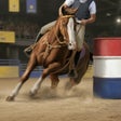 Ikona programu: Rival Stars Horse Racing