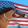 プログラムのアイコン：Rival Stars Horse Racing