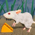 Programikonen: Jerry Mouse Rat Life Simu…