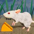 Jerry Mouse Rat Life Simulator