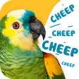 Free animal sounds: real animal noises  pictures