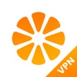 程序图标：ProxyGuard Shield VPN Pro…