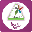 プログラムのアイコン：Galwaykart