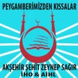 Icon of program: Peygamberimizden Dini Hik…