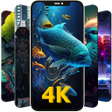 程序图标：Wallpaper Hub:4k HD Backg…
